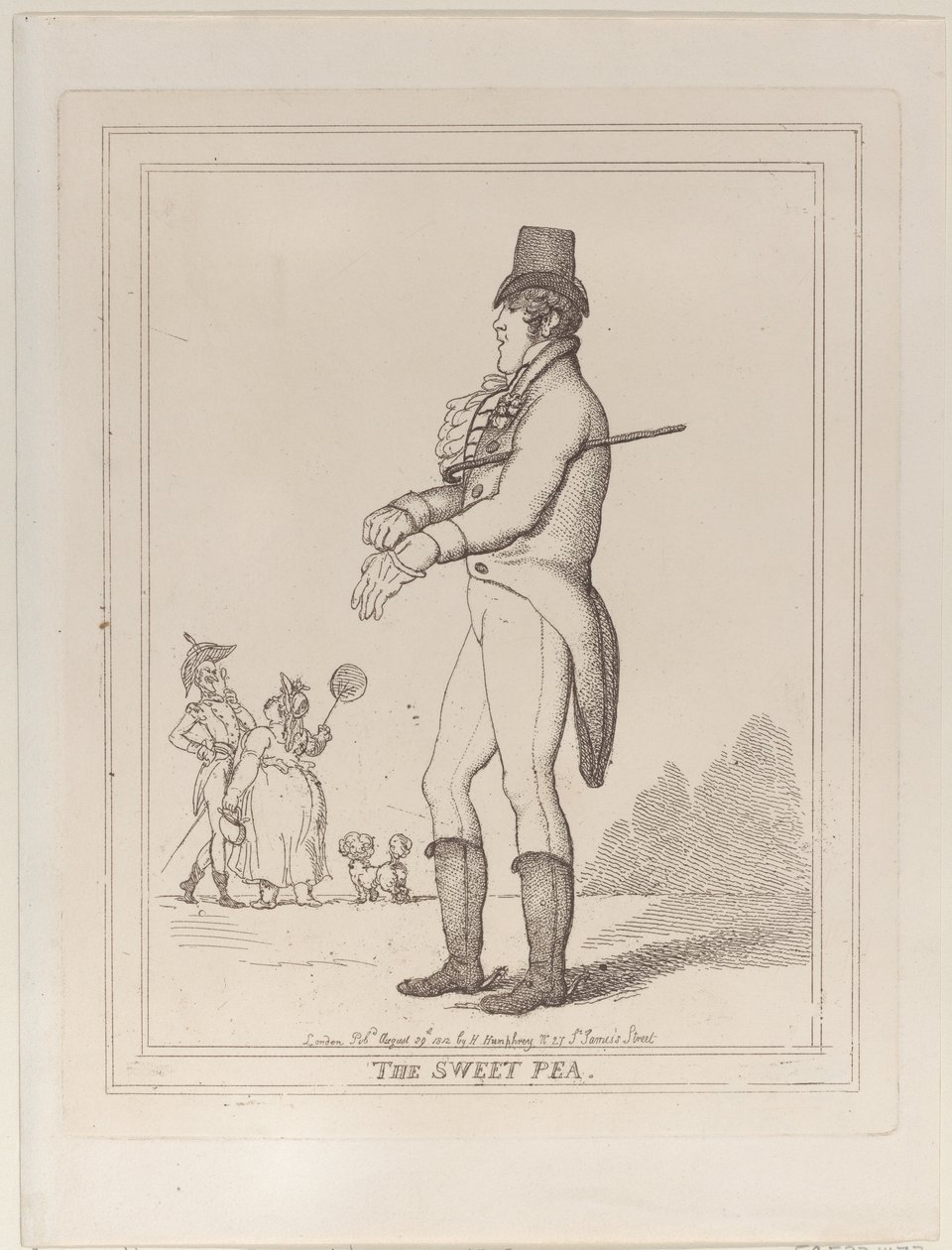Die Duftwicke, 29. August 1812 von Thomas Rowlandson