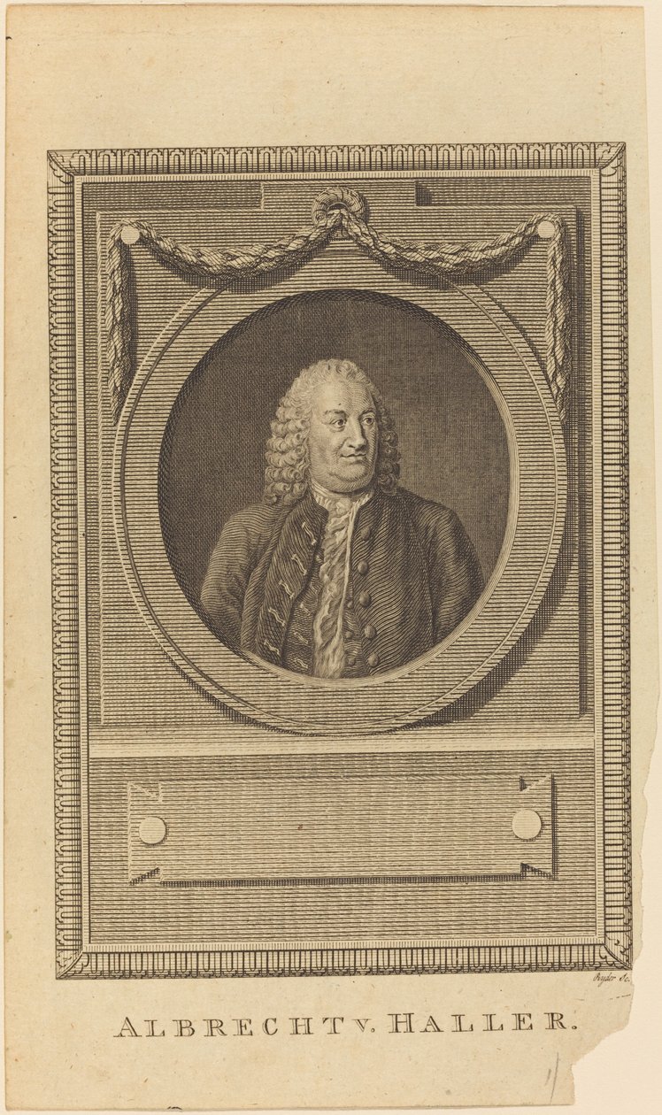 Albrecht V. Haller von Thomas Ryder: hochwertiger Kunstdruck