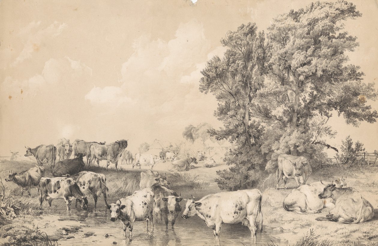 Eine Herde Rinder am Flussufer von Thomas Sidney Cooper