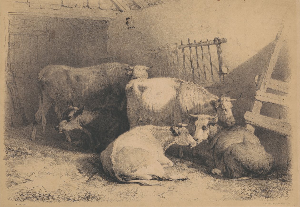 Kuhstall von Thomas Sidney Cooper