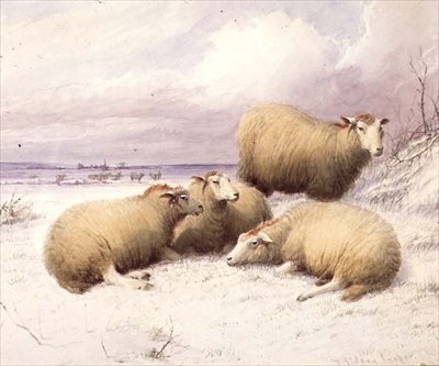 Schafe im Schnee von Thomas Sidney Cooper