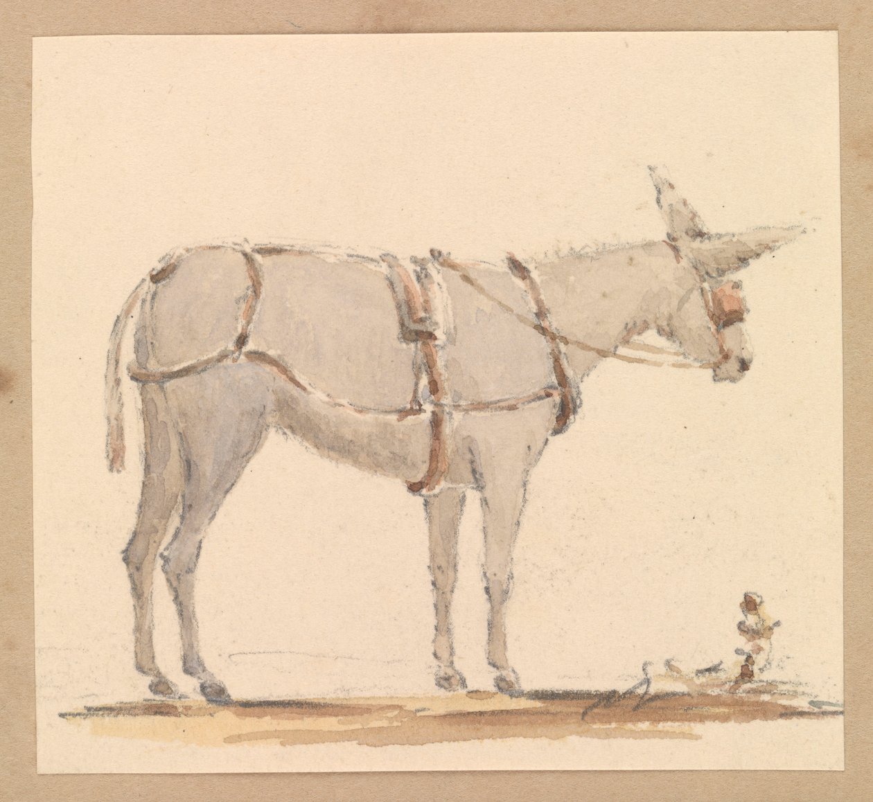 Studie eines Esels mit Zaumzeug und Geschirr, um 1820