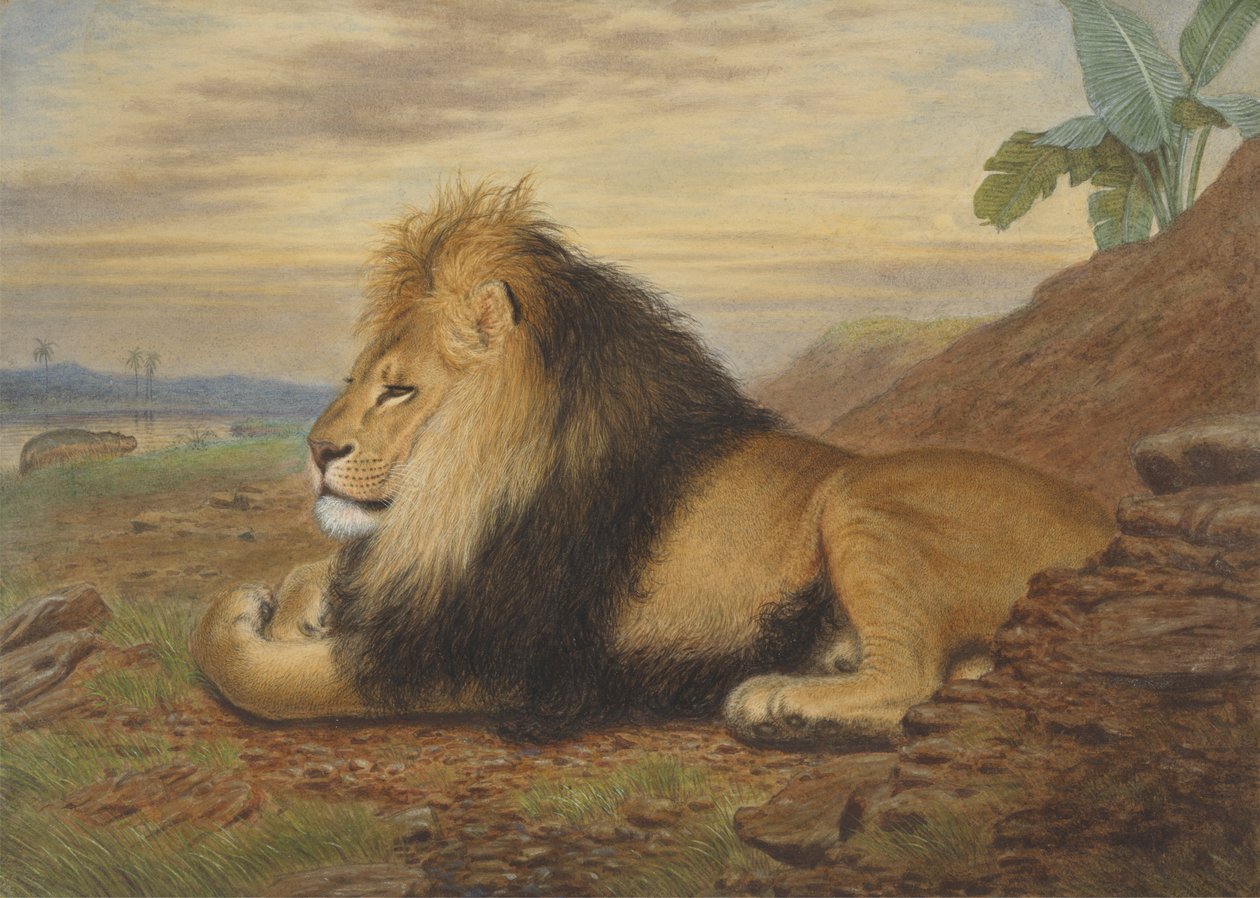 Ein Löwe von Thomas William Wood