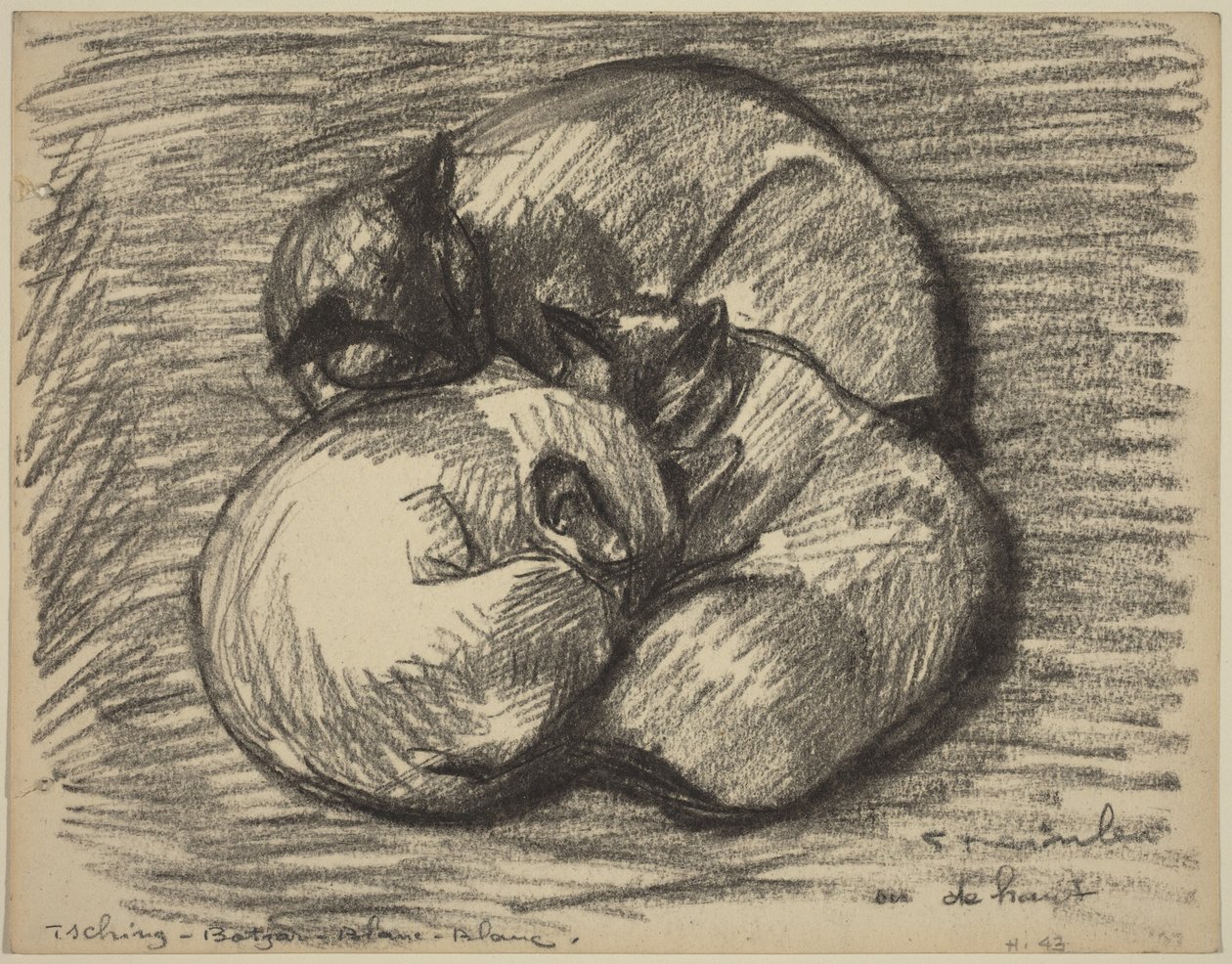 Die Katzen: Tsching, Batzar und Blanc-Blanc, spätes 19. - frühes 20. Jahrhundert von Théophile Alexandre Steinlen