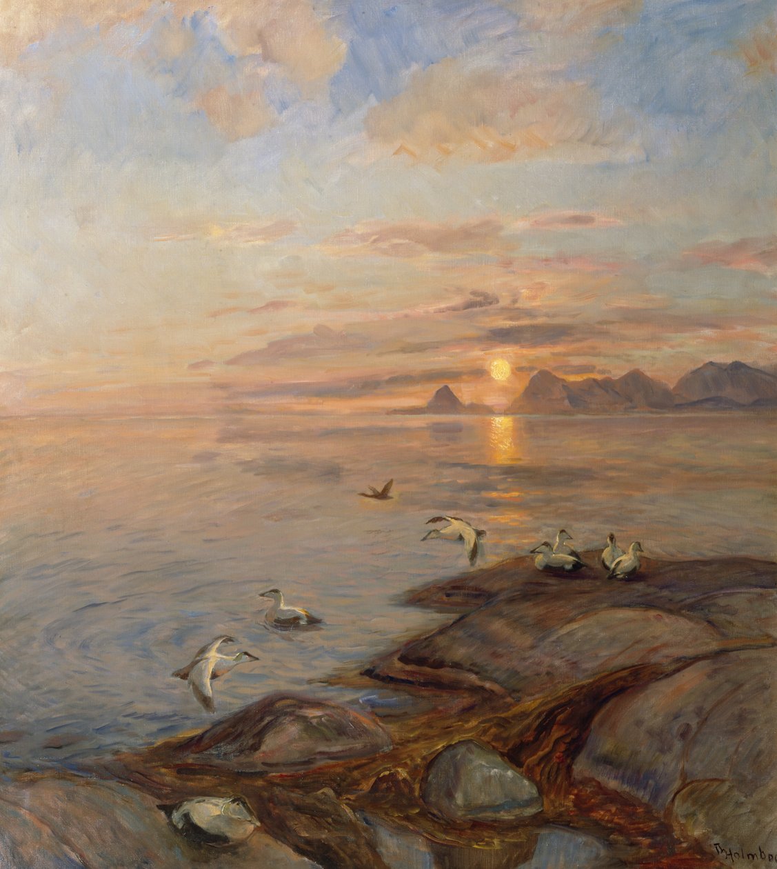 See Vögel in der Mitternachtssonne von Thorolf Holmboe
