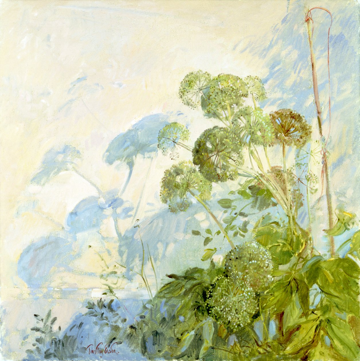 Angelica Schatten von Timothy Easton