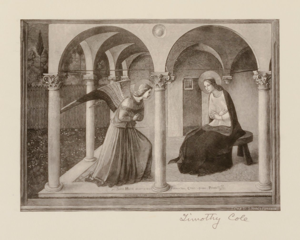 Alte italienische Meister von Timothy Cole