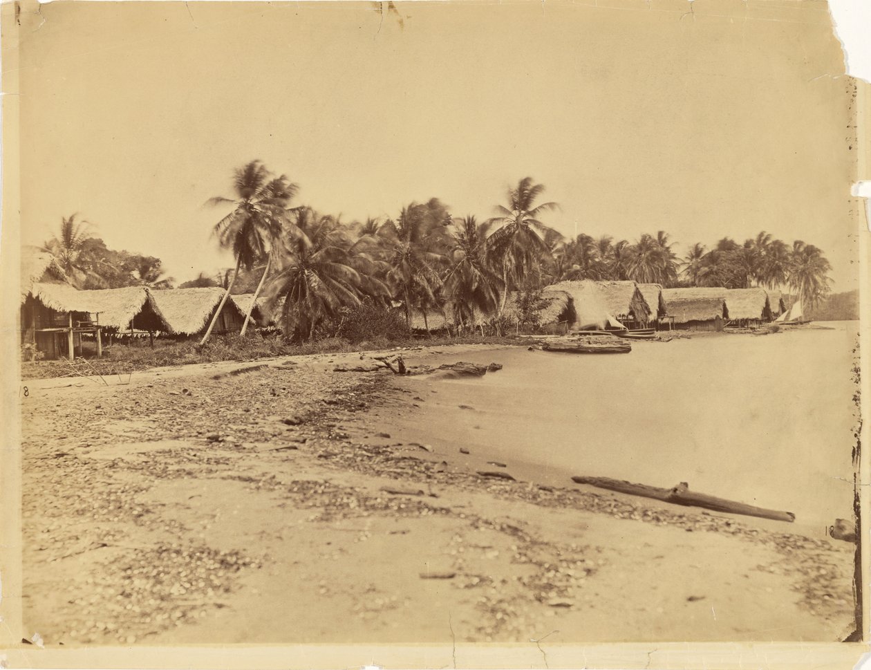 [Hütten, Palmen und Strand, Isthmus von Darién (Panama)] von Timothy H. O