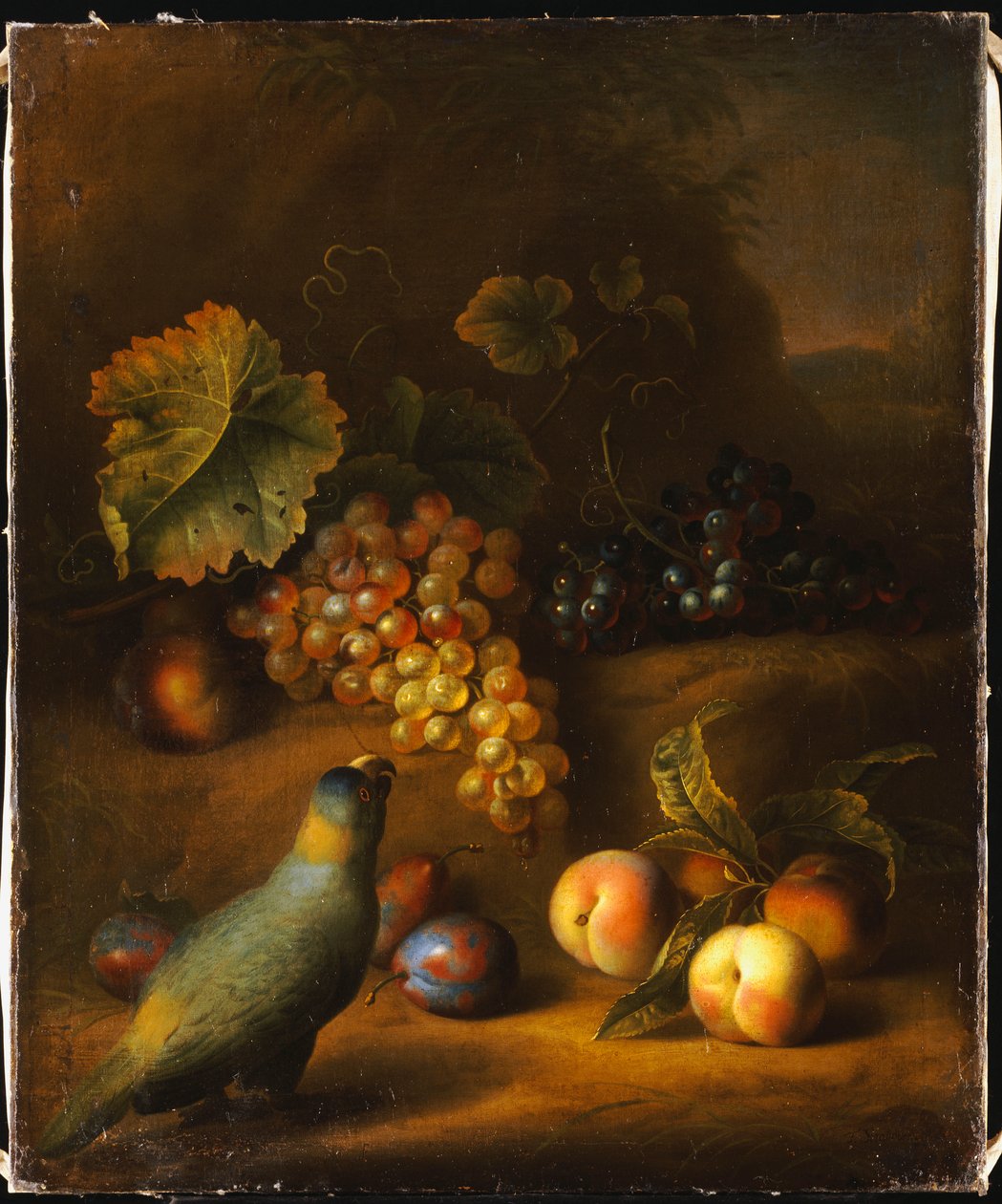 Ein Papagei mit Trauben, Pfirsichen und Pflaumen in einer Landschaft von Tobias Stranover