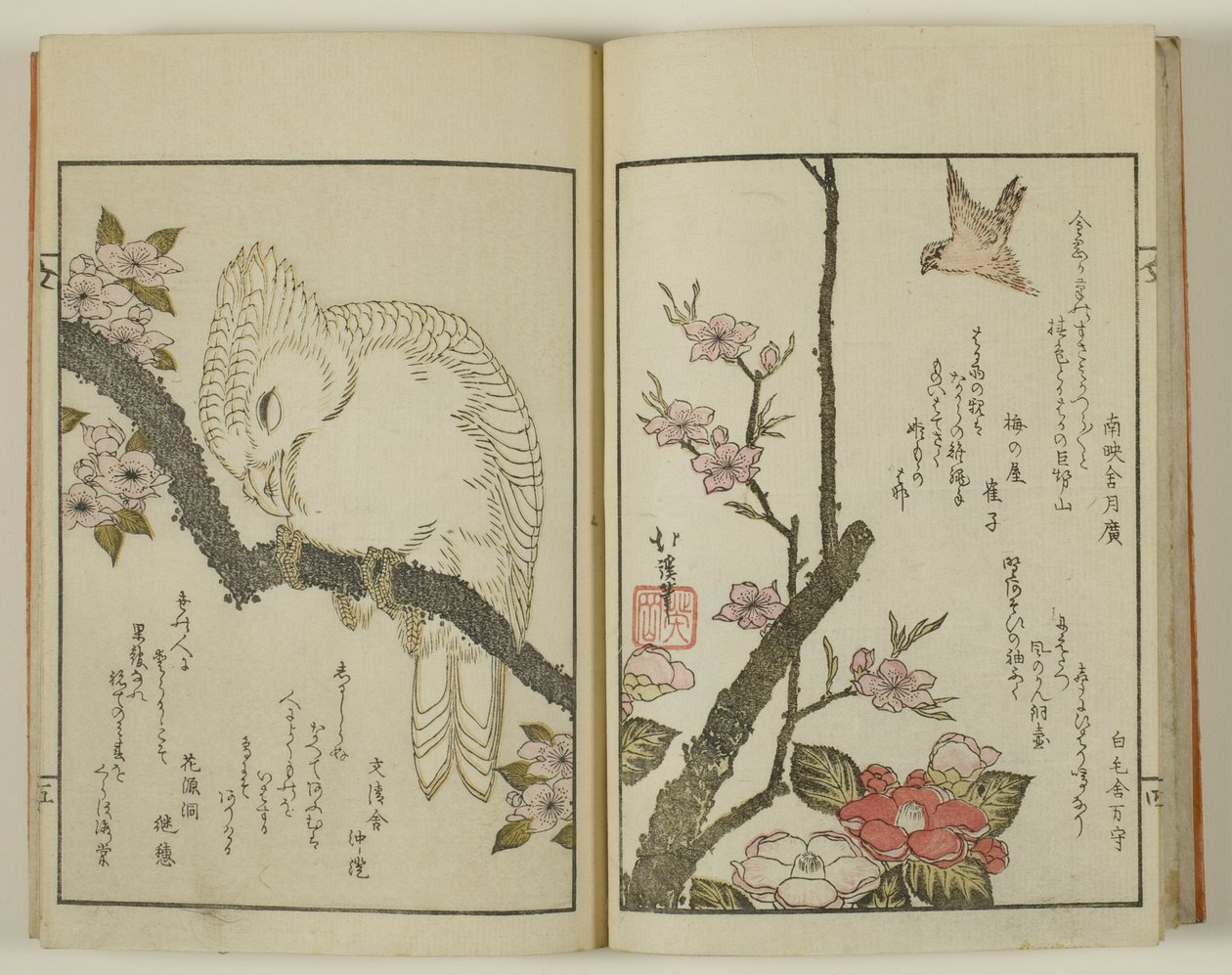 Kyoka hyakucho Kocho von Totoya Hokkei