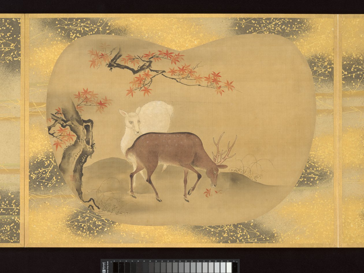 Album von fächerförmigen Gemälden von Figuren, Vögeln und Blumen von Tsunenobu Kano