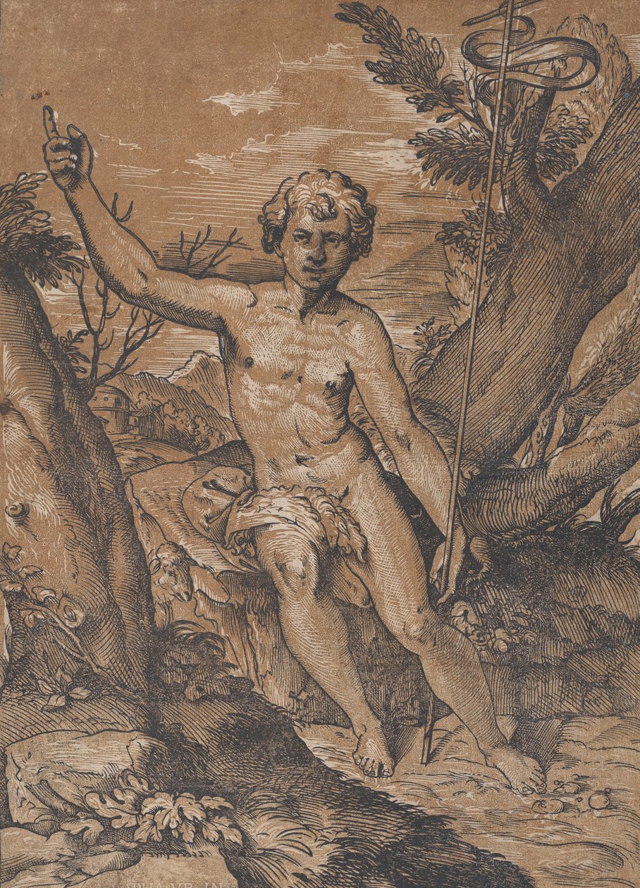 Der junge Heilige Johannes der Täufer in der Wildnis, ca. 1520-27 von Ugo da Carpi