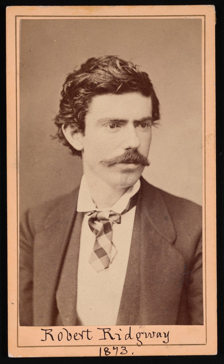 Porträt von Robert Ridgway, April 1873 von Ulke Bros