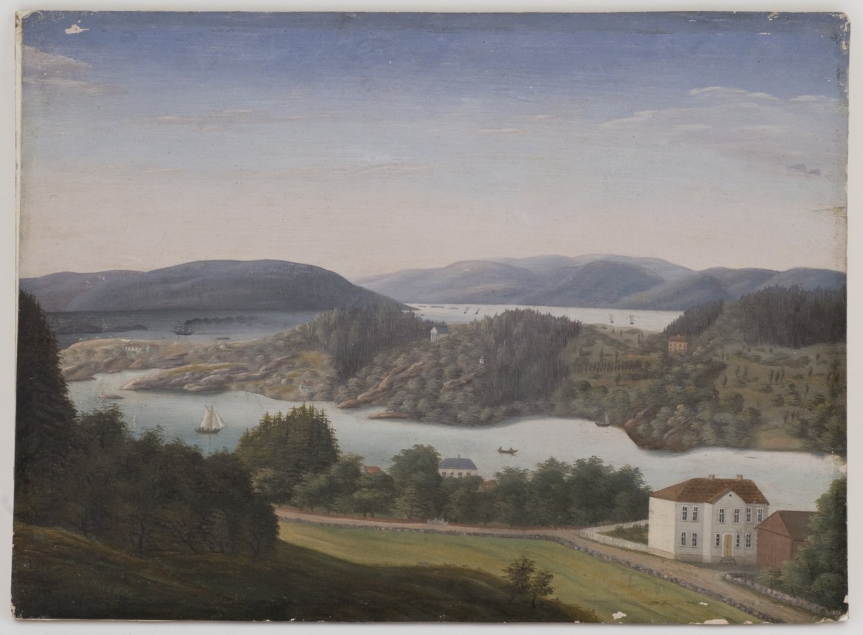 Aussicht von Schafteløkken nach Bygdøy von Unbekannt Unbekannt