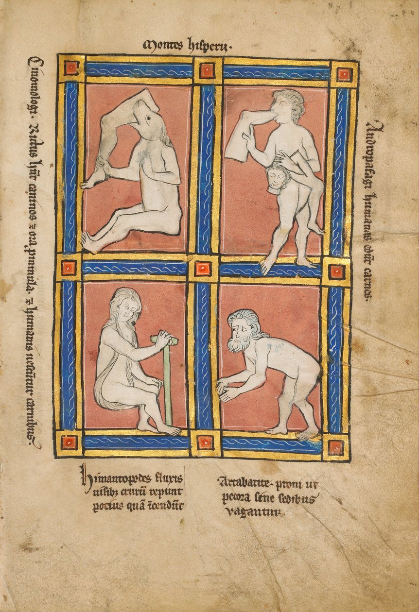 Cinomologus; Anthropophagus; Himantopode; Artabatite von Unbekannt Unbekannt