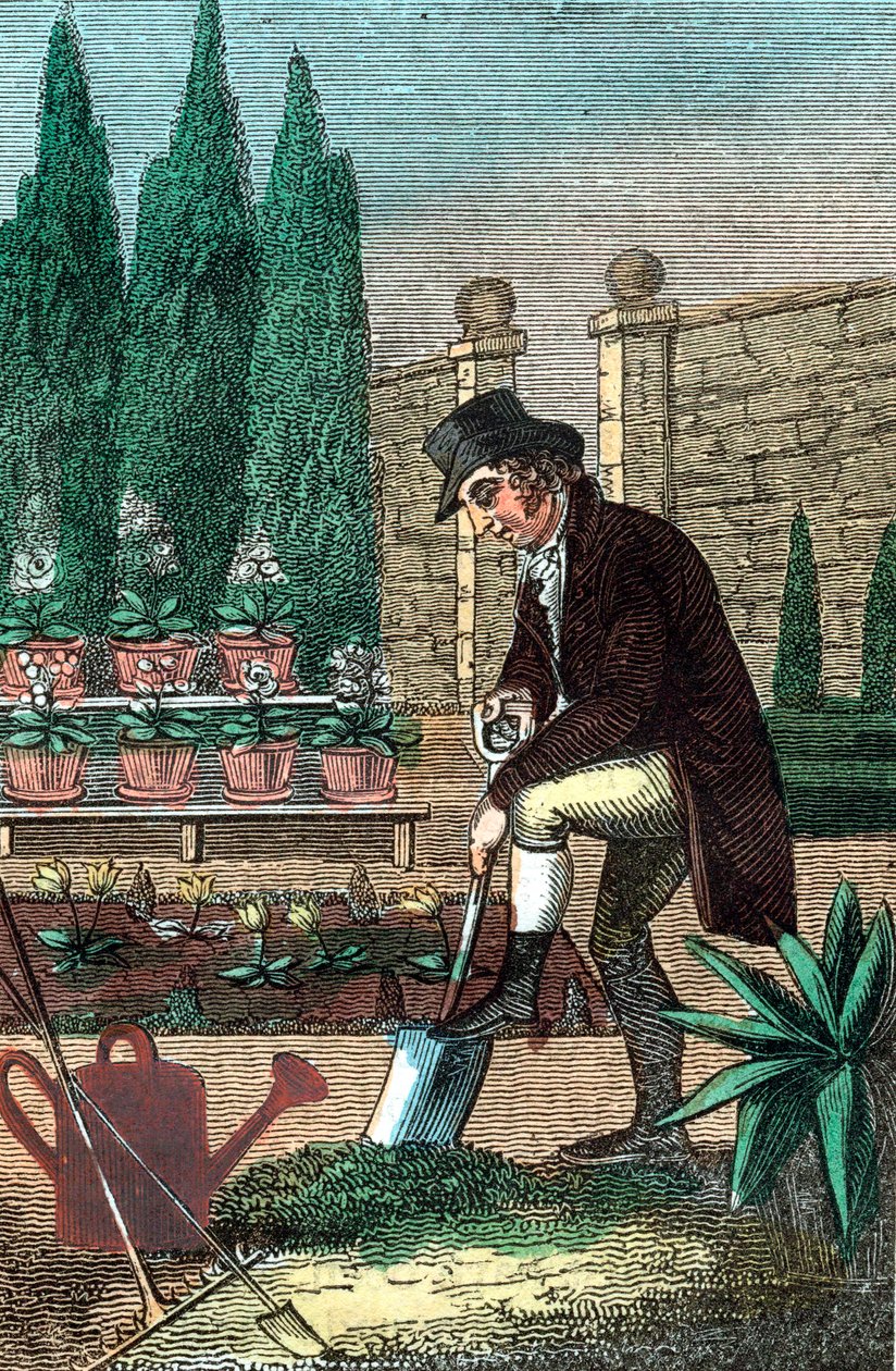 Ein Gärtner gräbt mit einem Spaten, 1821 von Unbekannt