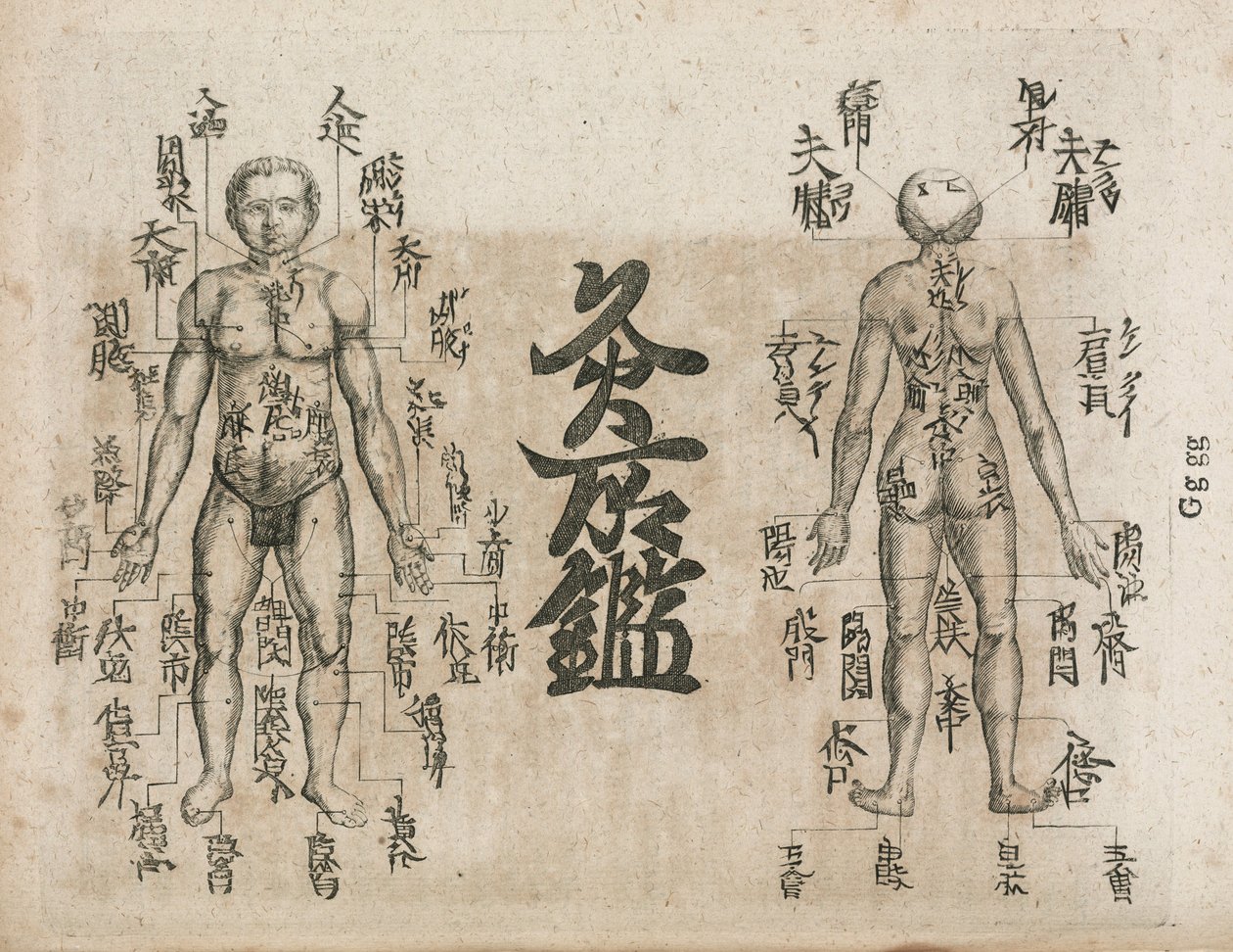 Akupunkturkarte des menschlichen Körpers, die die Punkte der Moxibustion anzeigt (Moxabustionsdiagramm, das zeigt, wo das Sengen vermieden werden sollte) von Unbekannt