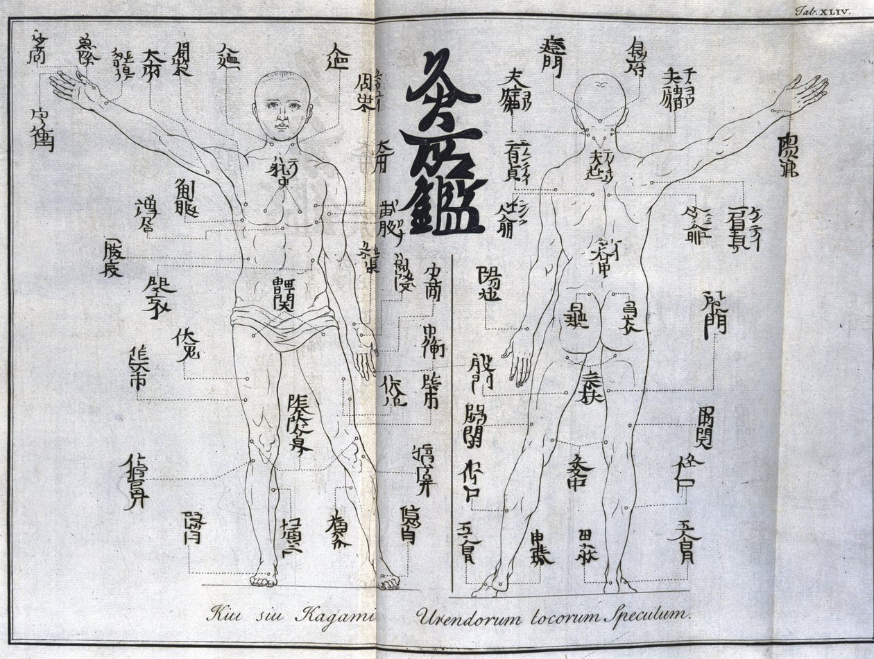 Akupunktur: Karte des menschlichen Körpers mit den Moxibustionspunkten, Japan (Karte zur Moxa, ca. 1690) von Unbekannt