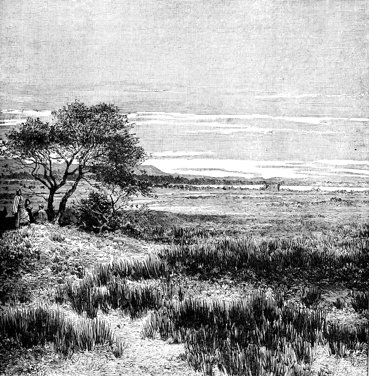 Agha-Tal, Zentralpampa, Argentinien, 1895 von Unbekannt
