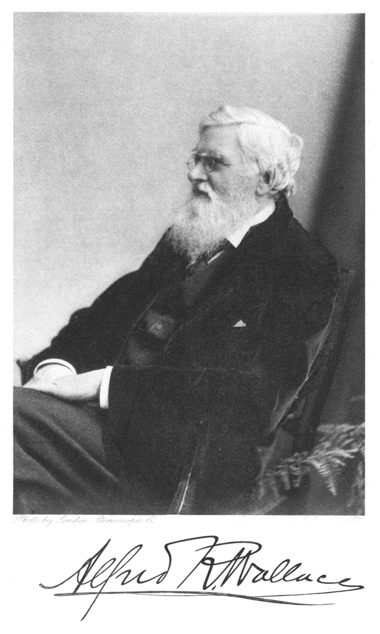 Alfred Russell Wallace, walisisch-britischer Naturforscher von Unbekannt