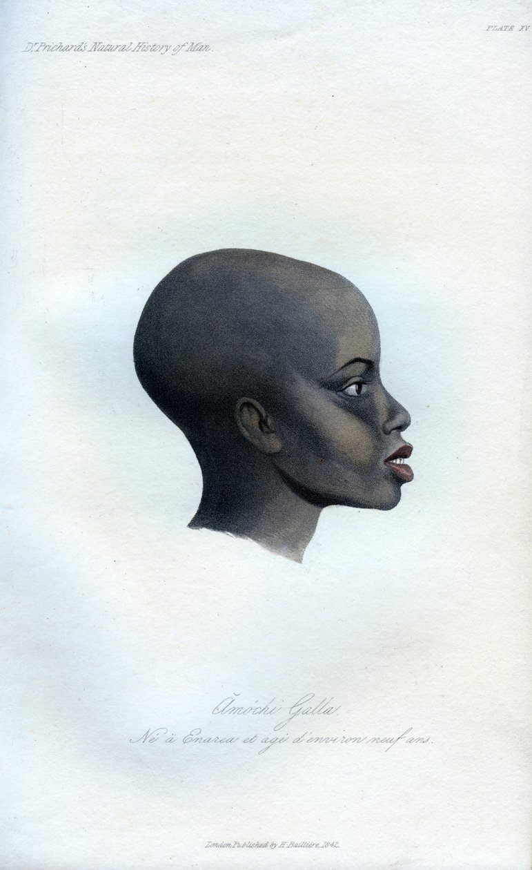 Amochi Galla, ein Porträt eines Galla, 1848 von Unbekannt