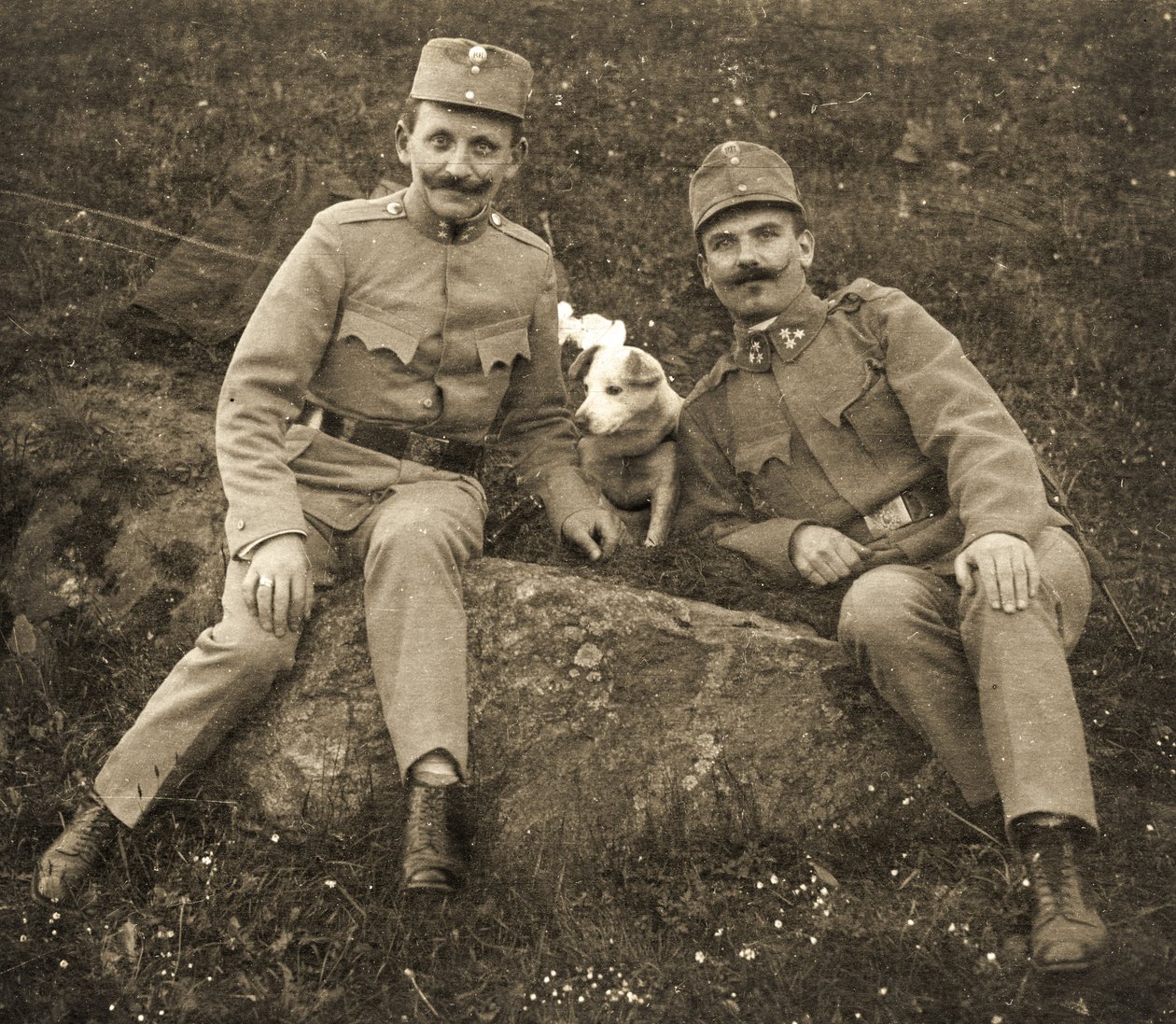 Österreichische Soldaten mit einem Hund von Unbekannt