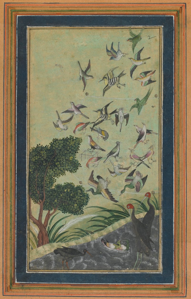 Vögel in Baran, möglicherweise aus dem Babur-nama, spätes 16. Jahrhundert von Unbekannt
