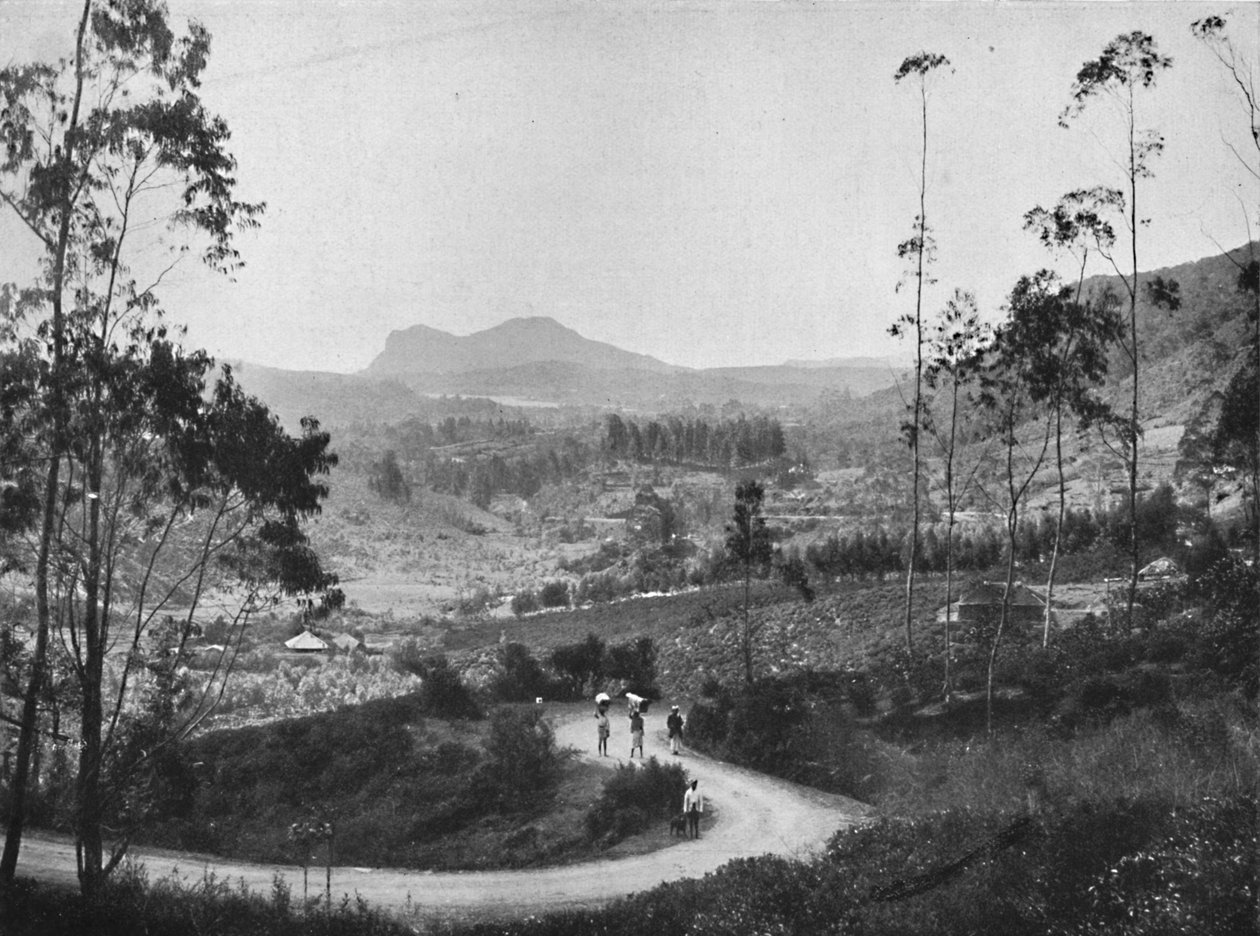 Blick vom Ramboda-Pass nach Südosten auf Nuwara Eliya und den Hakgalla-Felsen, 1926 von Unbekannt