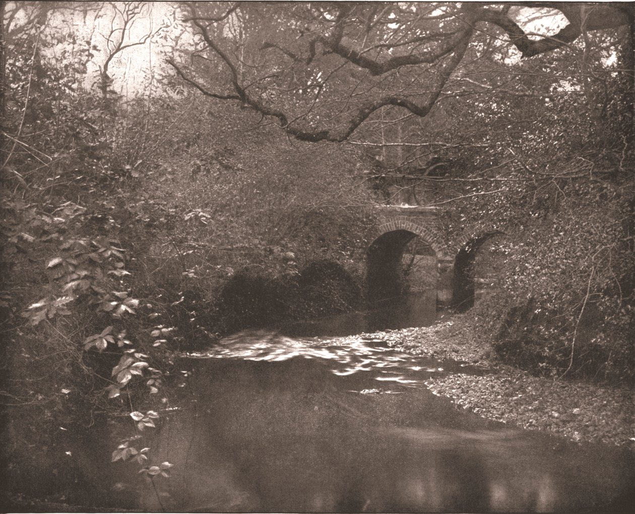 Bach und Brücke im New Forest, Hampshire von Unbekannt