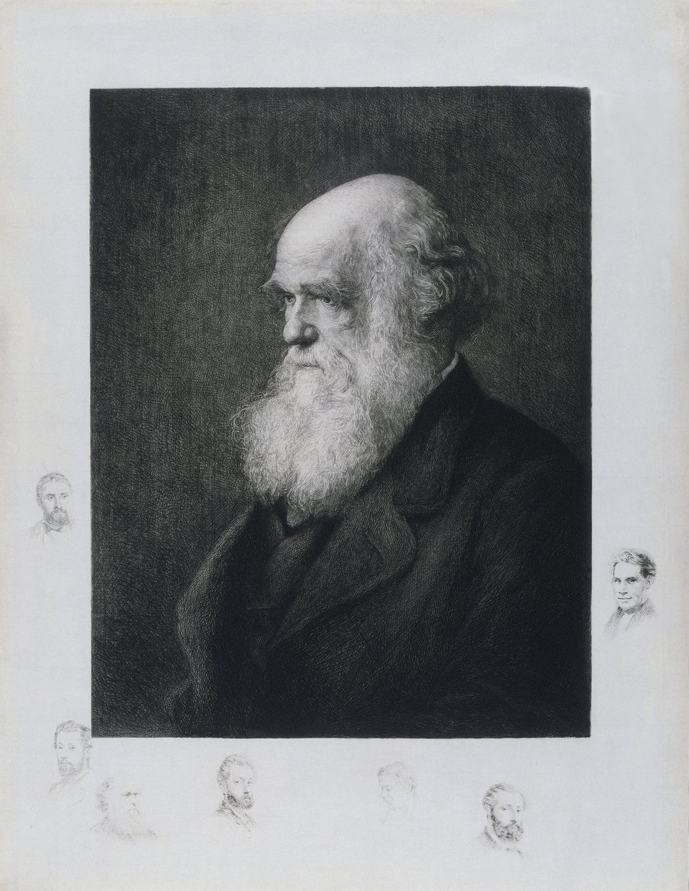 Charles Darwin, englischer Naturforscher, ca. 1860er von Unbekannt