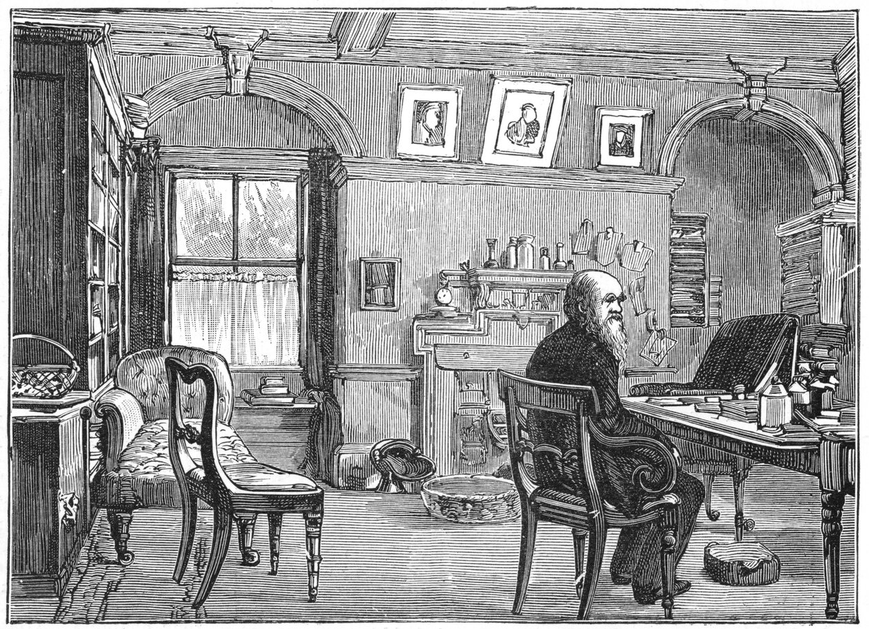 Charles Darwin, englischer Naturforscher, in seinem Arbeitszimmer von Unbekannt