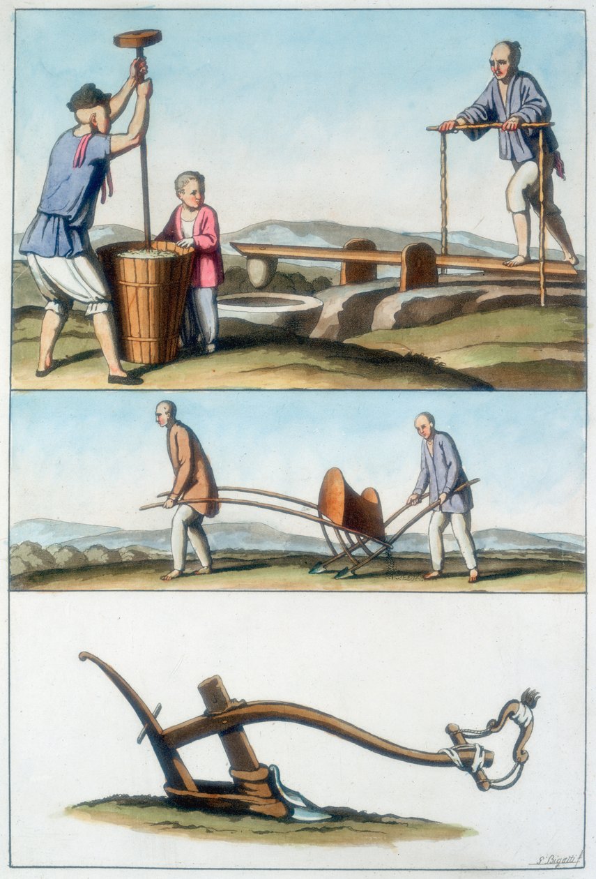 Chinesische Landwirtschaft, 1825-1835 von Unbekannt