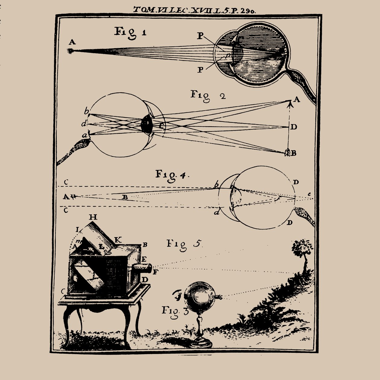 Vergleichende Darstellung des menschlichen Auges und der Camera Obscura von Unbekannt