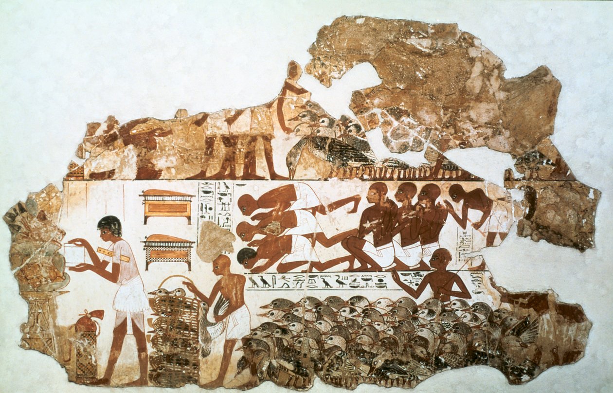 Gänse zählen: Fragment eines Wandgemäldes aus dem Grab von Nebamun, Theben, Ägypten, um 1350 v. Chr. von Unbekannt