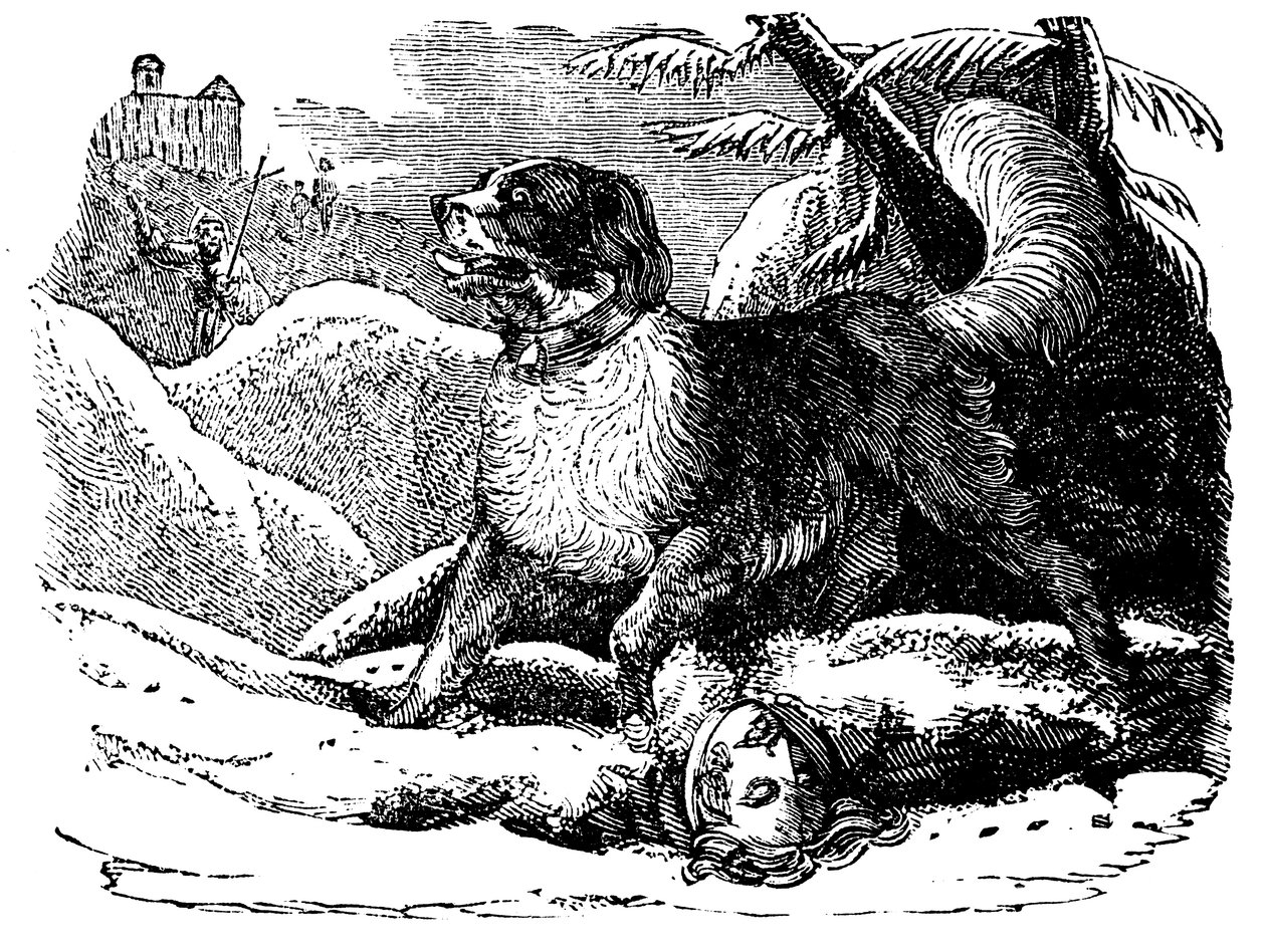Hund vom Hospiz des Heiligen Bernhard findet einen Reisenden im Schnee, ca. 1840 von Unbekannt