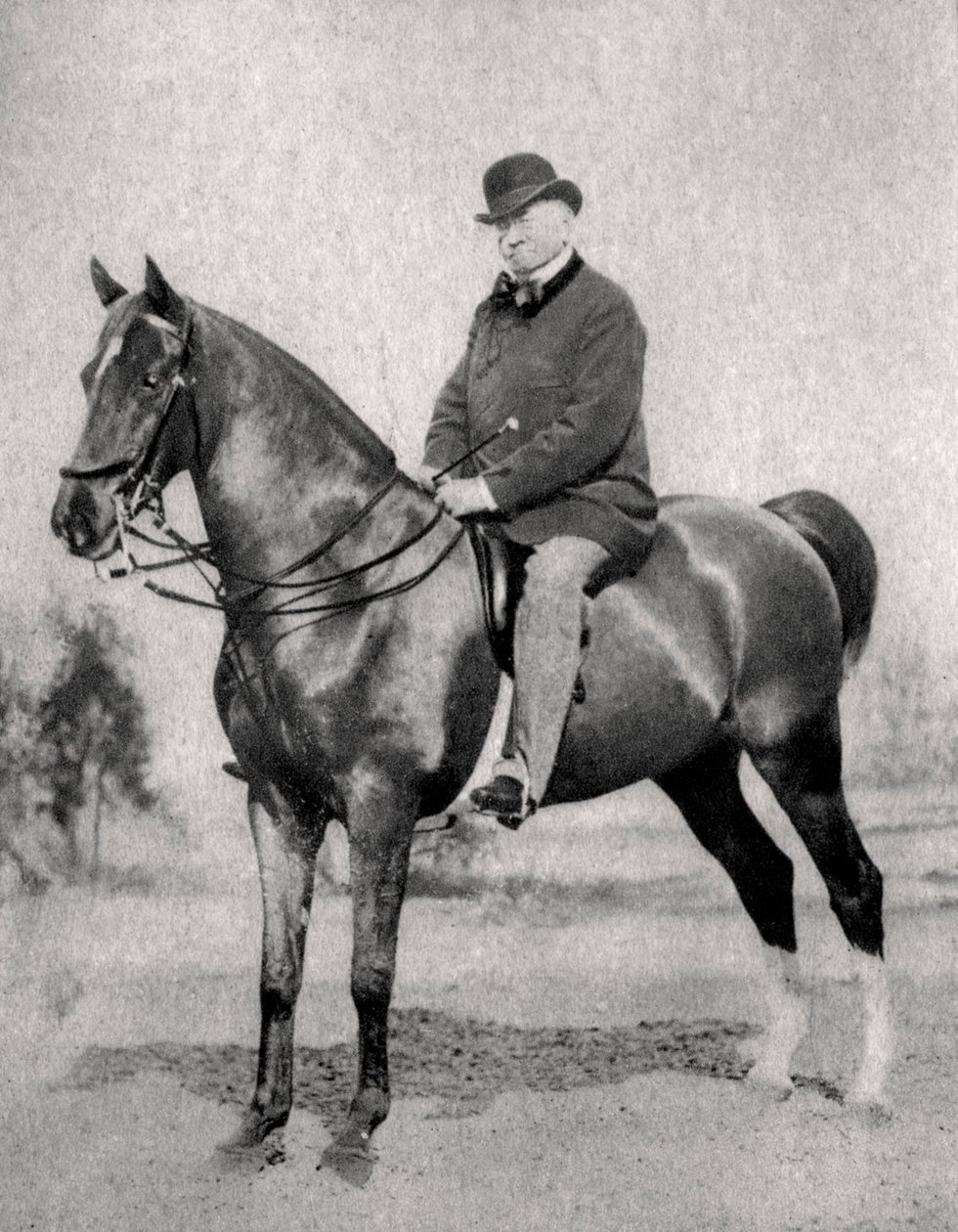Émile de Girardin, französischer Journalist, Publizist und Politiker, 1866 von Unbekannt