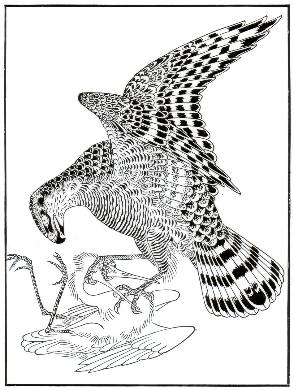 Falke und Reiher, 16. Jahrhundert, 1886 von Unbekannt