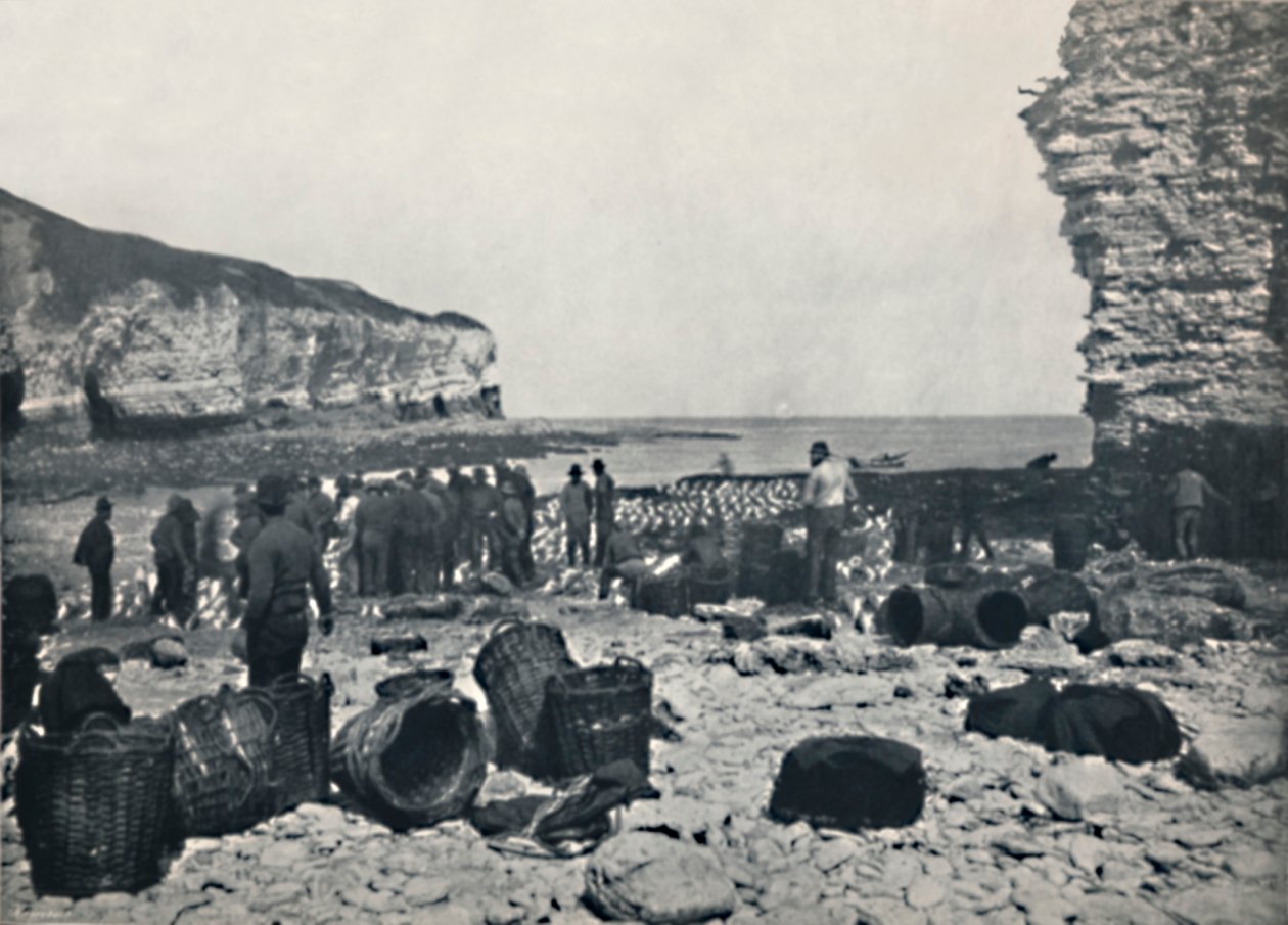 Flamborough - Die Fischer bei der Arbeit, 1895 von Unbekannt