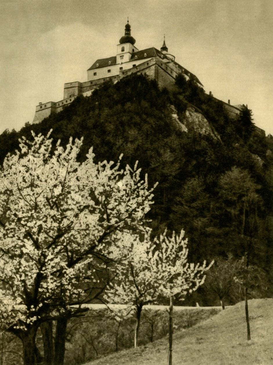Burg Forchtenstein, Burgenland, Österreich von Unbekannt