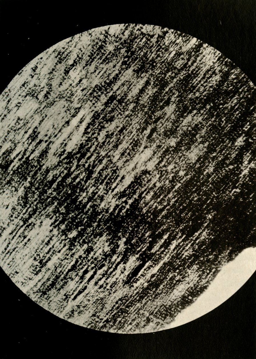 Fossiles Holz im Sandstein, von einer Moräne in 85° südlicher Breite, ca. 1908, 1909 von Unbekannt