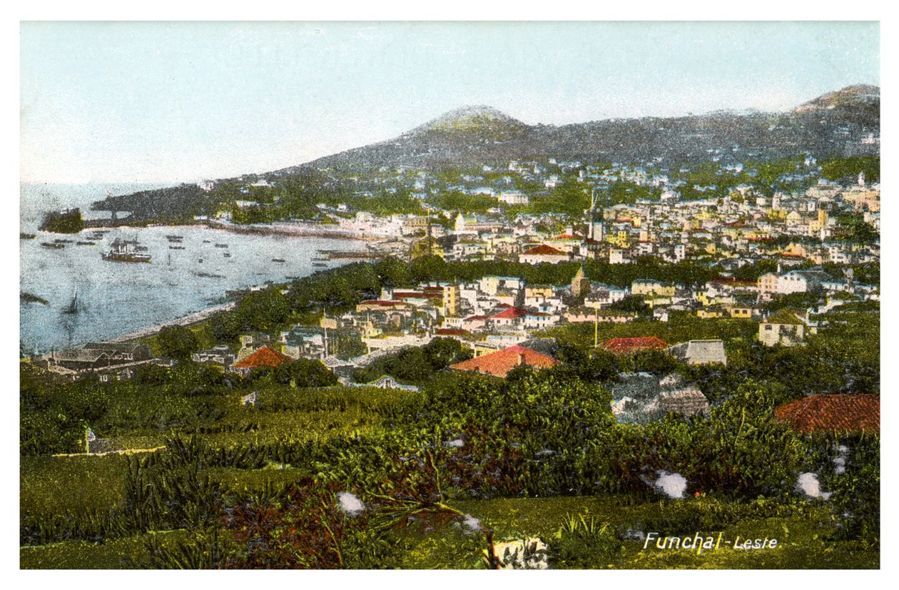 Funchal, Madeira, Anfang des 20. Jahrhunderts von Unbekannt