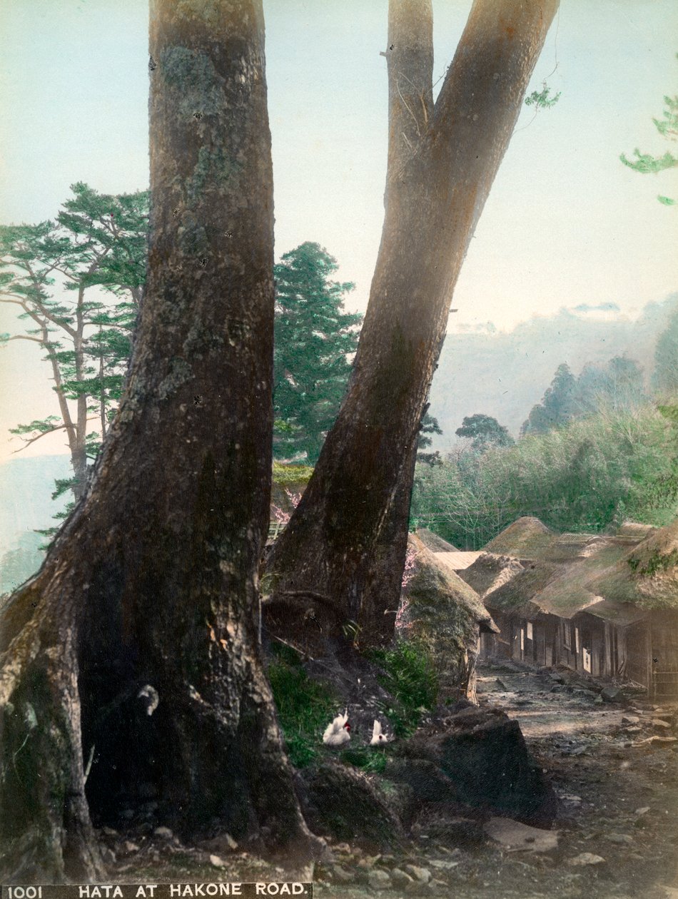 Hata an der Hakone-Straße, Japan, frühes 20. Jahrhundert von Unbekannt