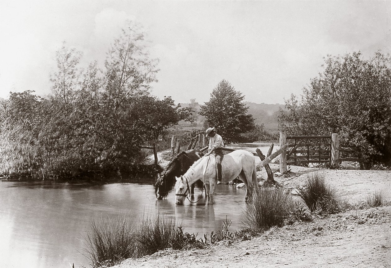 „Pferde trinken am Teich“, um 1890 von Unbekannt
