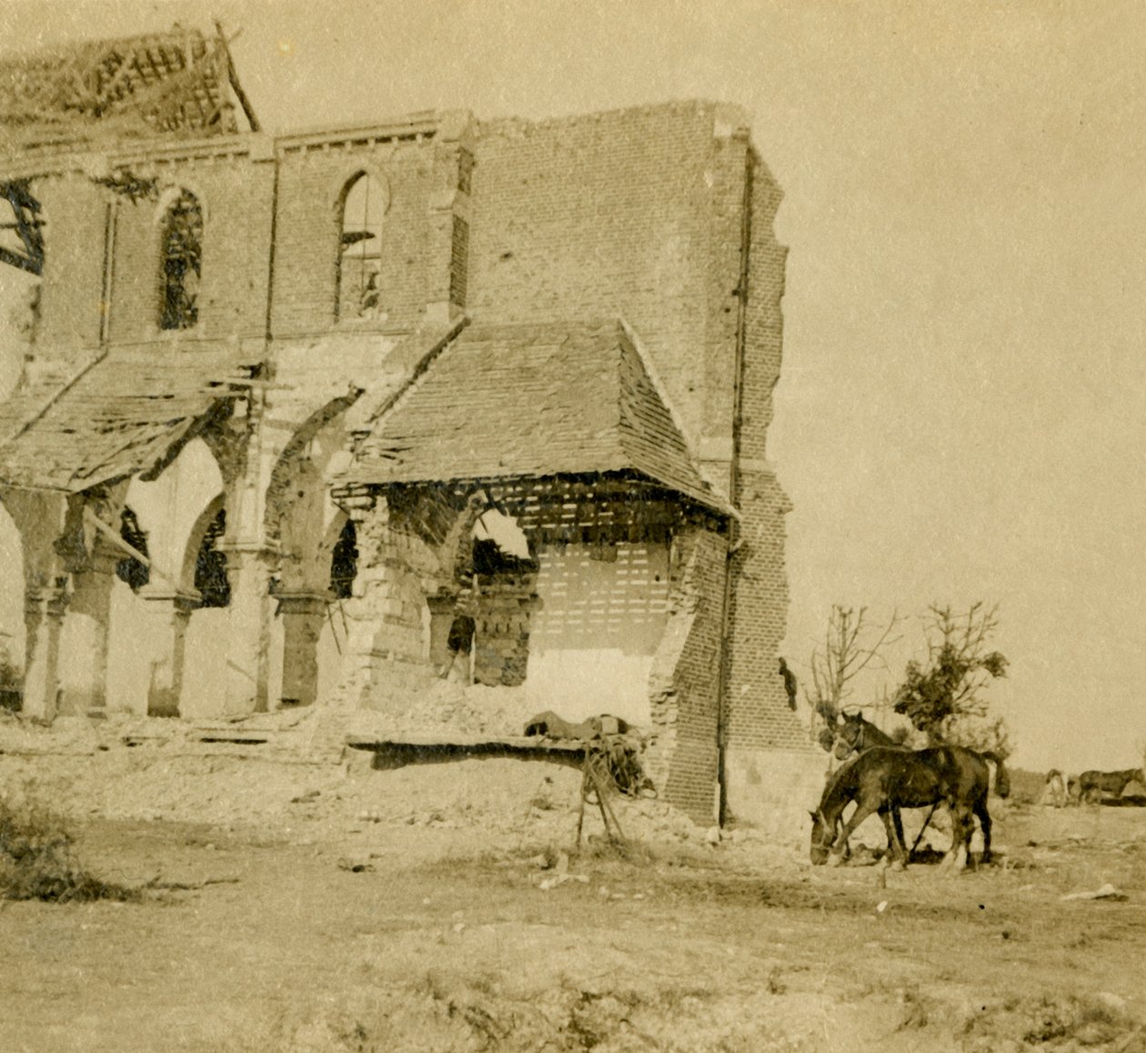 Pferde weiden in der Nähe einer zerstörten Kirche, Frise, Nordfrankreich, ca. 1914-1918 von Unbekannt