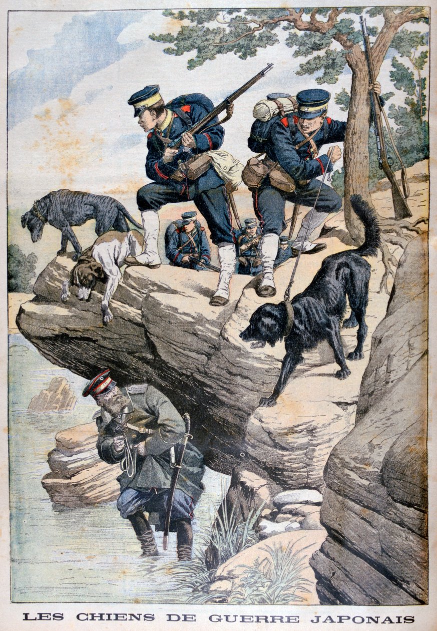 Japanische Soldaten mit Hunden finden einen versteckten Russen, Russisch-Japanischer Krieg, 1904 von Unbekannt