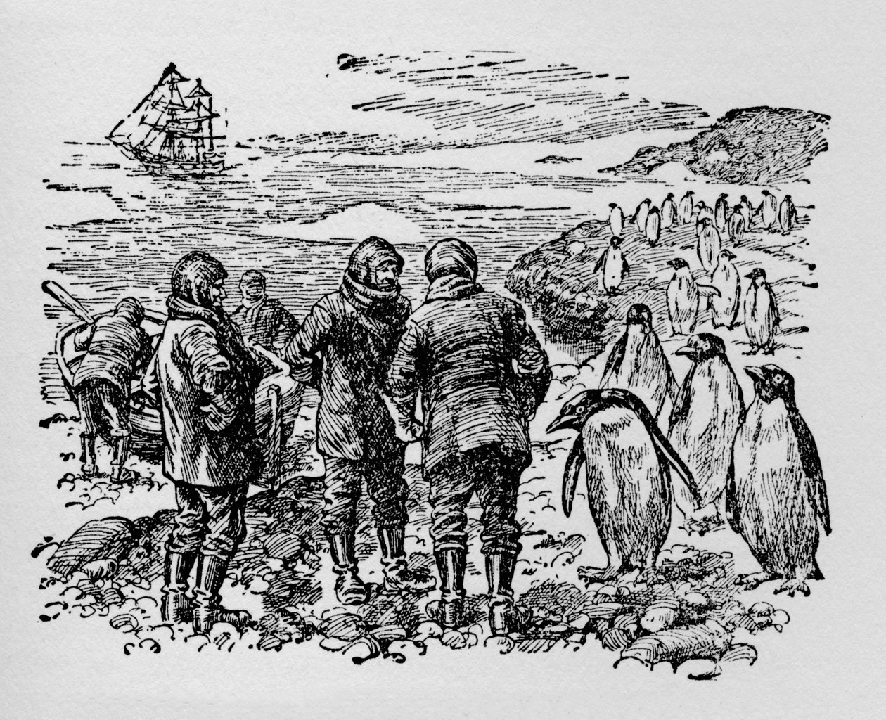 Landung auf einer kleinen Insel, bewohnt von Myriaden von Pinguinen, um 1918 von Unbekannt