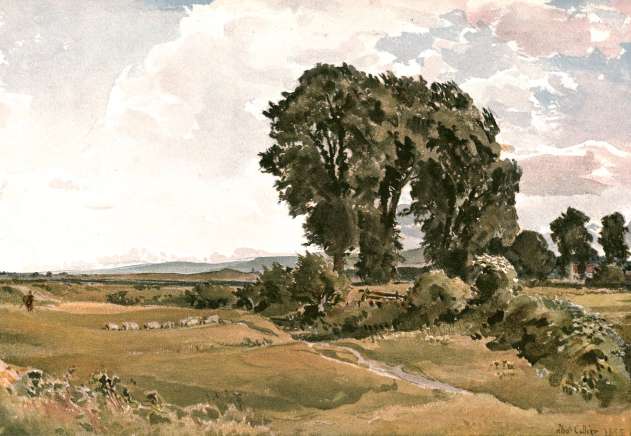 Landschaft, in der Nähe von Wareham, Dorset - eine Freiluftskizze, um 1900 von Unbekannt