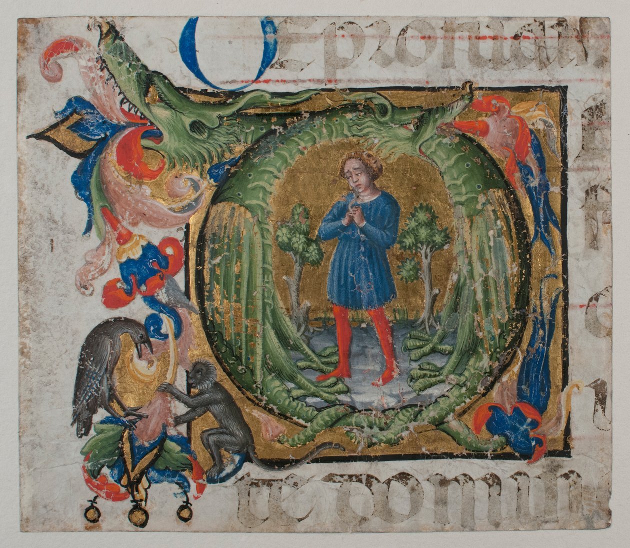 Manuskript-Illumination mit Initiale Q, aus einem Chorbuch, erste Hälfte des 15. Jahrhunderts von Unbekannt