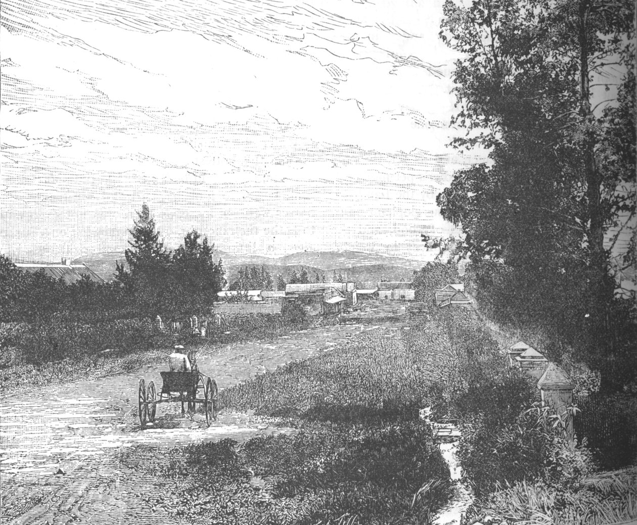 Market Street, Pretoria, ca. 1880er Jahre von Unbekannt