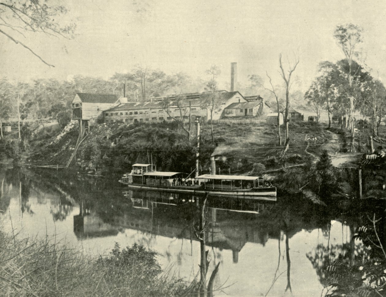 Fleischwerke, in der Nähe von Grafton, New South Wales, 1901 von Unbekannt